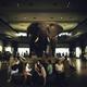 Hadoop remains the elephant in the room of big data