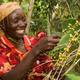 Hope Journal 2015: Fairtrade Fortnight